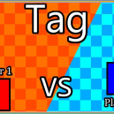 2 Player Tag