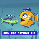 Fish Eat Getting Big