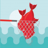 Fishy Kawaii img